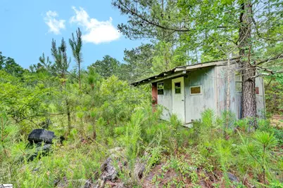 00 Stomp Springs Drive, Clinton, SC 29325 - Photo 23