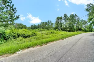 00 Stomp Springs Dr, Clinton, SC 29325 - Photo 1