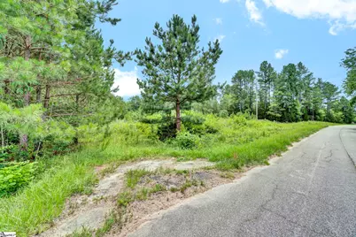 00 Stomp Springs Drive, Clinton, SC 29325 - Photo 17
