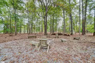 3239 Hurricane Church Rd, Clinton, SC 29325 - Photo 35
