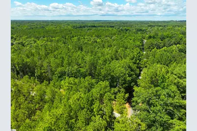 401 Coleman Road, Clinton, SC 29325 - Photo 17