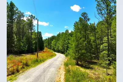 401 Coleman Road, Clinton, SC 29325 - Photo 13