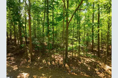 401 Coleman Road, Clinton, SC 29325 - Photo 19