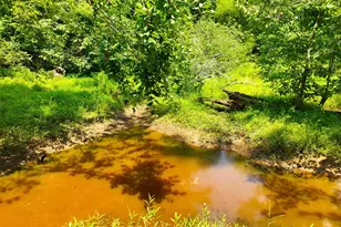 1198 Mize Rd, Belton, SC 29627 - Photo 33
