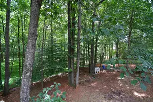 450 Waspnest Rd, Wellford, SC 29385 - Photo 3