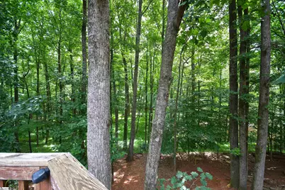 450 Waspnest Road, Wellford, SC 29385 - Photo 29