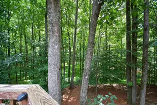 450 Waspnest Rd, Wellford, SC 29385 - Photo 29