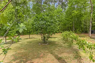 540 Bella Woods Trail, Inman, SC 29349 - Photo 49