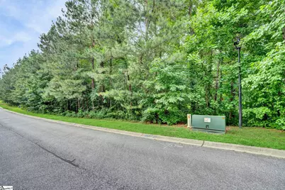 208 Wedge Way, Travelers Rest, SC 29690 - Photo 9