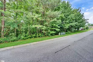 208 Wedge Way, Travelers Rest, SC 29690 - Photo 1