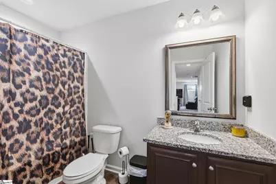 310 Icebow Road, Fountain Inn, SC 29644 - Photo 27