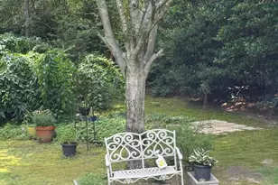 206 Gelsemium Pl, Greenville, SC 29615 - Photo 11