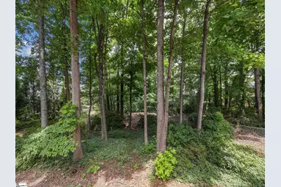 425 Summerton Place, Moore, SC 29369 - Photo 43