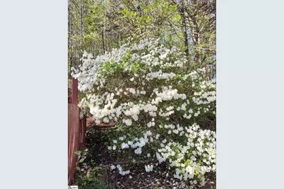 84- Benson Road, Travelers Rest, SC 29690 - Photo 31