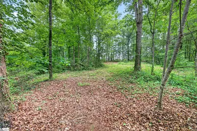 769 Cool Creek Drive, Greer, SC 29651 - Photo 49