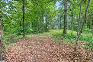769 Cool Creek Dr, Greer, SC 29651 - Photo 49