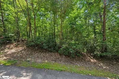 14 Alsace Way, Travelers Rest, SC 29690 - Photo 7