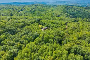 198 Old Plantation Rd, Travelers Rest, SC 29690 - Photo 47