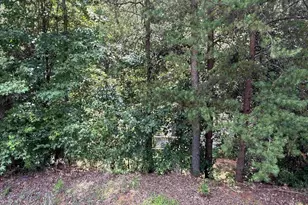 65 Randall Dr, Taylors, SC 29687 - Photo 29