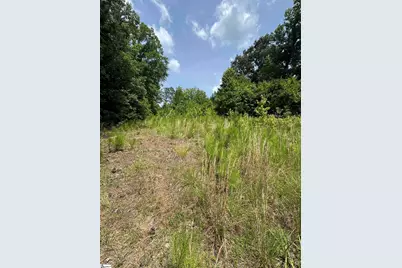 659 Dovefield Road, Cross Hill, SC 29332 - Photo 5