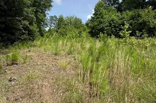 659 Dove Field Rd, Cross Hill, SC 29332 - Photo 5