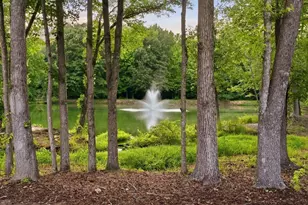 3 Firnstone Ct, Greenville, SC 29607 - Photo 47