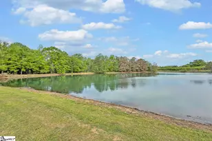963 Turkey Farm Rd, Chesnee, SC 29323 - Photo 33