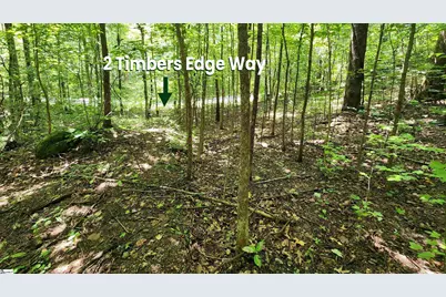 2 Timbers Edge Way, Travelers Rest, SC 29690 - Photo 15