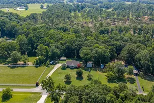 351 Knickerbocker Estate Dr, Fountain Inn, SC 29644 - Photo 49