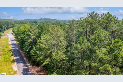 0 Stomp Springs Road, Clinton, SC 29325 - Photo 3