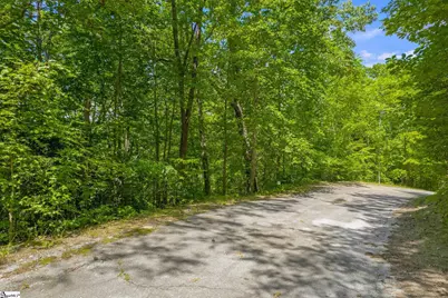 00 Links Ledge, Travelers Rest, SC 29690 - Photo 3