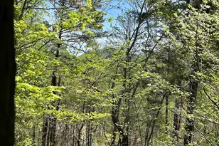 107 Brendart Hill Rd, Sunset, SC 29685 - Photo 27