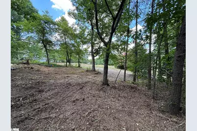 3 Paris Glen Way, Greenville, SC 29609 - Photo 5