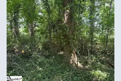 Cone Street, Greenville, SC 29609 - Photo 11