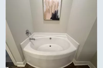 19 Jaycee Court, Greenville, SC 29607 - Photo 9