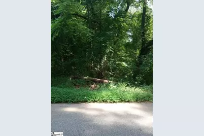 510 Cole Road, Campobello, SC 29322 - Photo 3