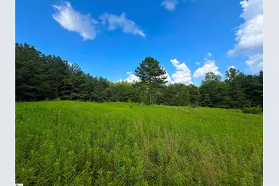 3573 Moorefield Memorial Highway, Pickens, SC 29671 - Photo 29