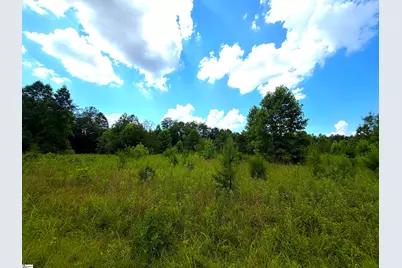3573 Moorefield Memorial Highway, Pickens, SC 29671 - Photo 25