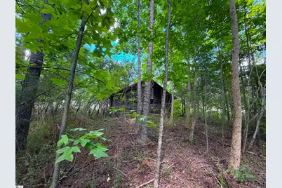 3573 Moorefield Memorial Highway, Pickens, SC 29671 - Photo 35