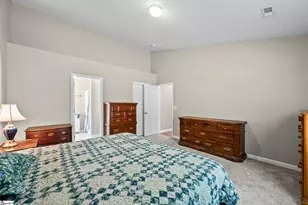 14 Granite Woods Way, Greer, SC 29650 - Photo 11