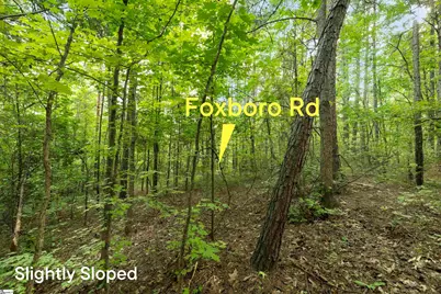 00 Foxboro Road, Travelers Rest, SC 29690 - Photo 23