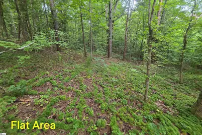 00 Foxboro Road, Travelers Rest, SC 29690 - Photo 27