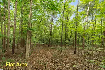 00 Foxboro Road, Travelers Rest, SC 29690 - Photo 25