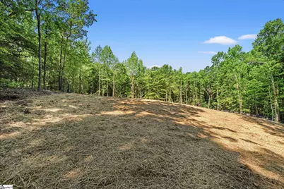 110 N Silver Lake Drive, Taylors, SC 29687 - Photo 9