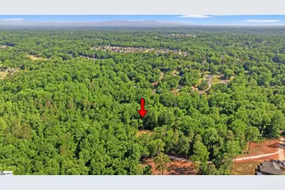 110 N Silver Lake Drive, Taylors, SC 29687 - Photo 11