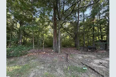 744 Chapman Road, Fountain Inn, SC 29644 - Photo 9