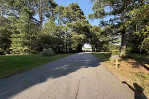 744 Chapman Rd, Fountain Inn, SC 29644 - Photo 15