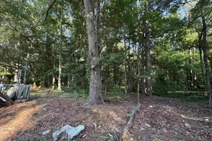 744 Chapman Rd, Fountain Inn, SC 29644 - Photo 11