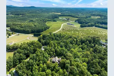 4 Landy Lane, Landrum, SC 29356 - Photo 45