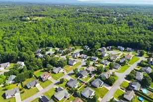 2 Gentian Ct, Taylors, SC 29687 - Photo 37